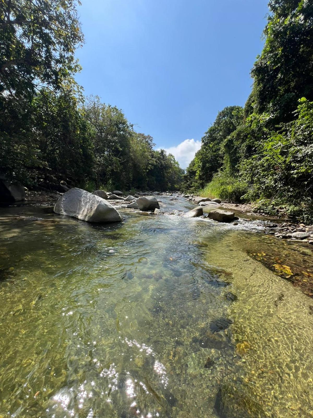 Cabana Tayronaca Calabazo  Luaran gambar